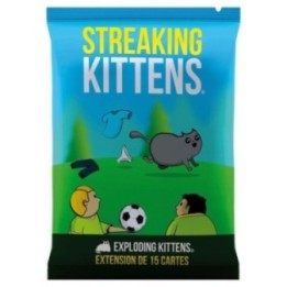 Streaking Kittens