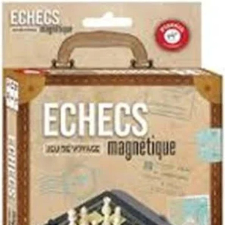 ECHECS MAGNETIQUES