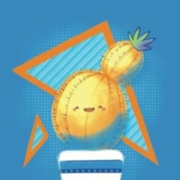 Carnet Poncho - Cactus Summer