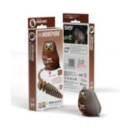 Eugy 036 Chouette Ninox