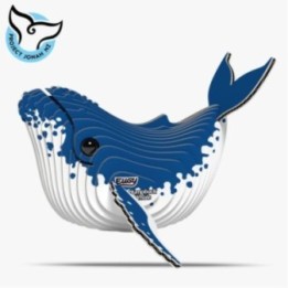 051 BALEINE A BOSSE