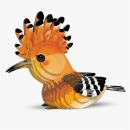 EUGY 105 HOOPOE