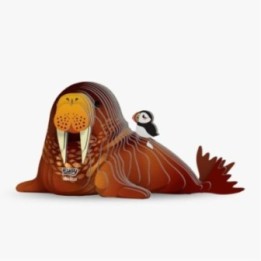 EUGY 107 WALRUS