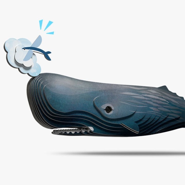 EUGY 092 SPERM WHALE