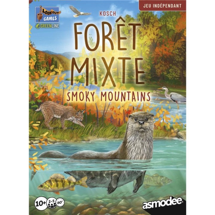 Forêt Mixte smoky mountains